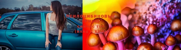 наркотики Богородск