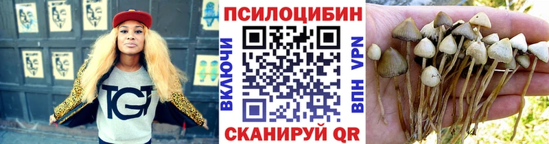 kraken как зайти  Михайлов  Галлюциногенные грибы Magic Shrooms 